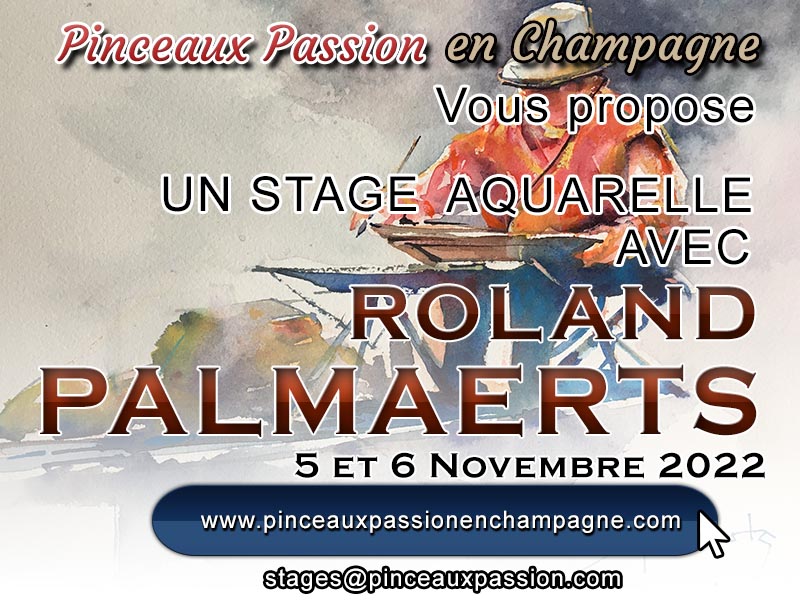 stage Roland Palmaerts